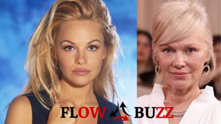 Pamela Andérson Aujourd’hui : Son Âge, Sa Carrière et Sa Vie Actuelle Décryptés pamela andérson aujourd'hui